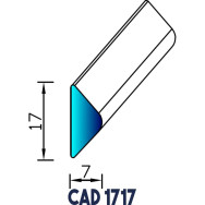 Profil Galon pour Liston CAD 1717